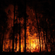Image for article titled Australia Just Went Through Its Hottest Year on Record